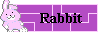 rabbit