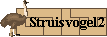 struisvogel