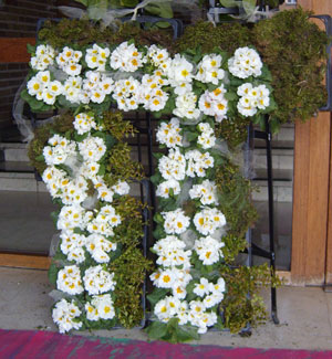 PI-bloem