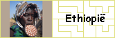 Ethiopie
