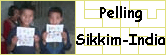 Pelling