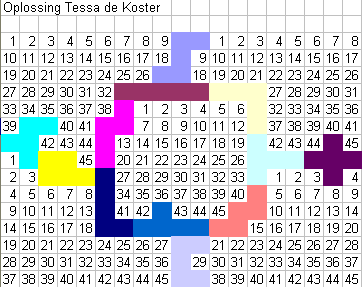 Tessa de Koster