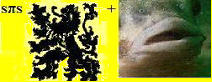 spiesleeuwenbek